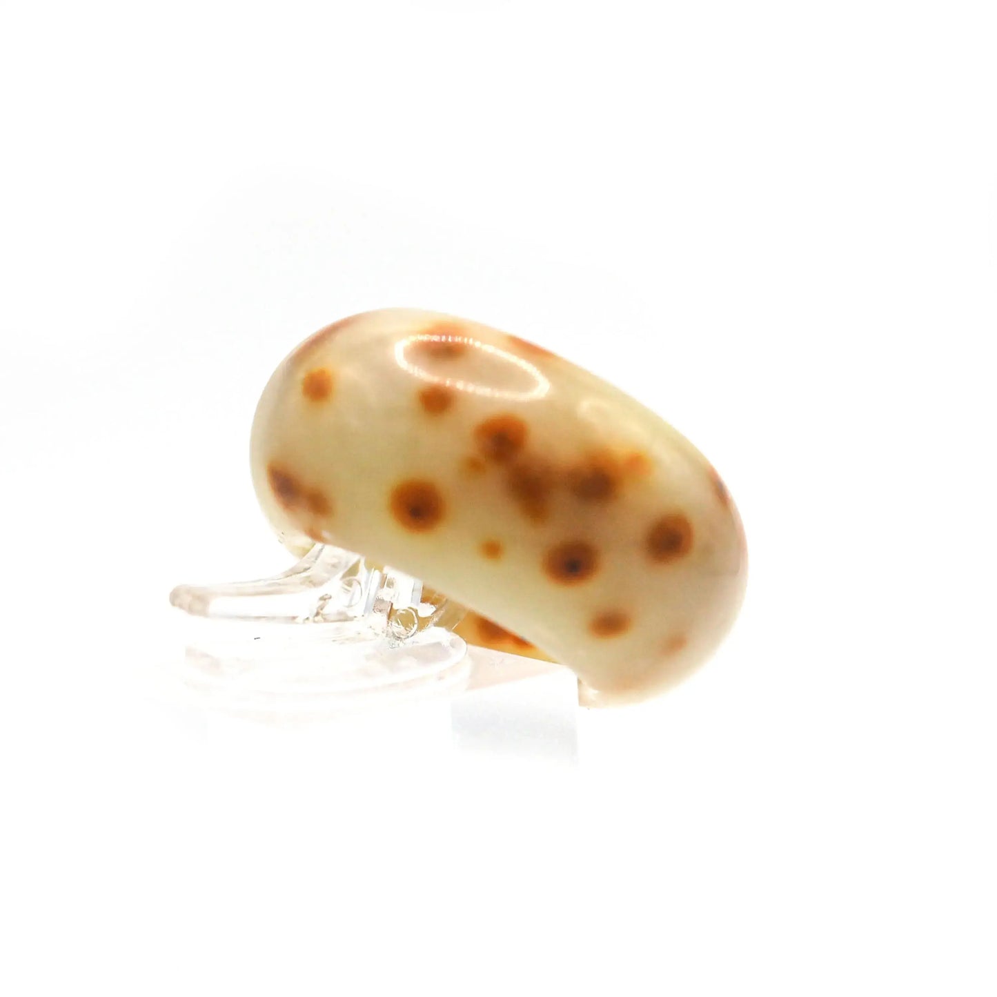 Rounded Solid Jade Ring – Ember Dot in Beige Serpentine Miruzi